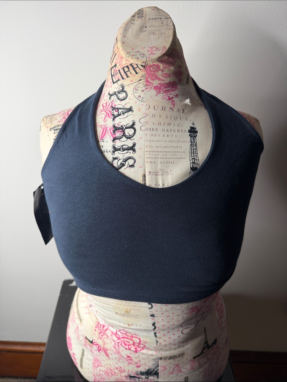 Brandy Melville Navy Halter Crop Top